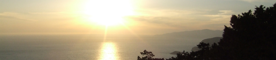 Random header image... Refresh for more!