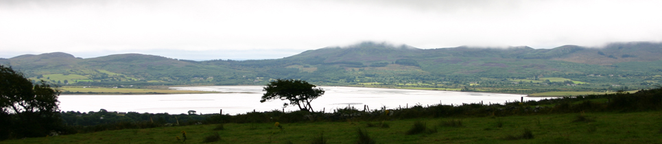 Random header image... Refresh for more!