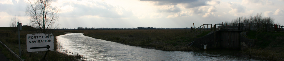 Random header image... Refresh for more!